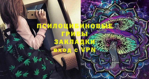гидра Новокубанск