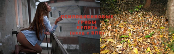 трава Алексеевка