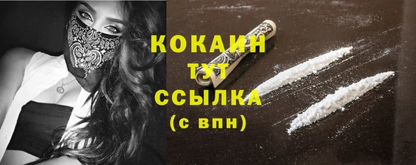 a pvp Новозыбков