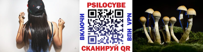 Галлюциногенные грибы Magic Shrooms  как найти закладки  Нытва 